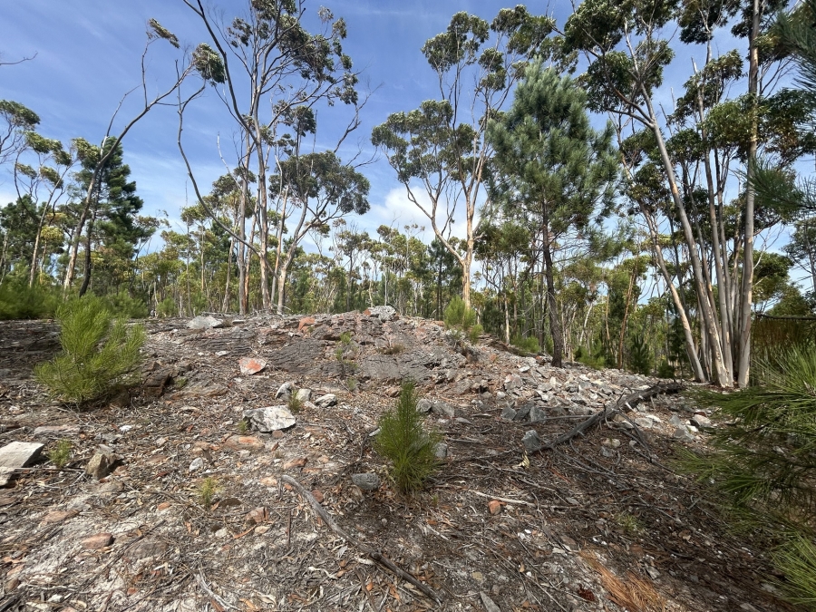 0 Bedroom Property for Sale in Napier Western Cape